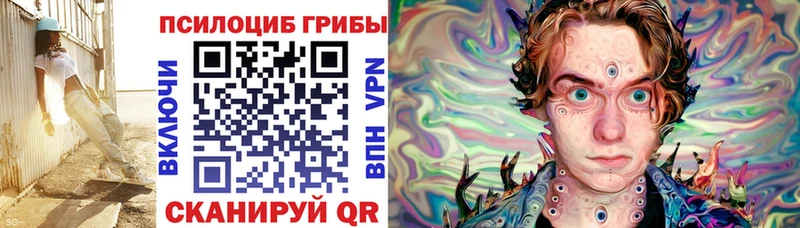 Псилоцибиновые грибы мухоморы  mega вход  Череповец 