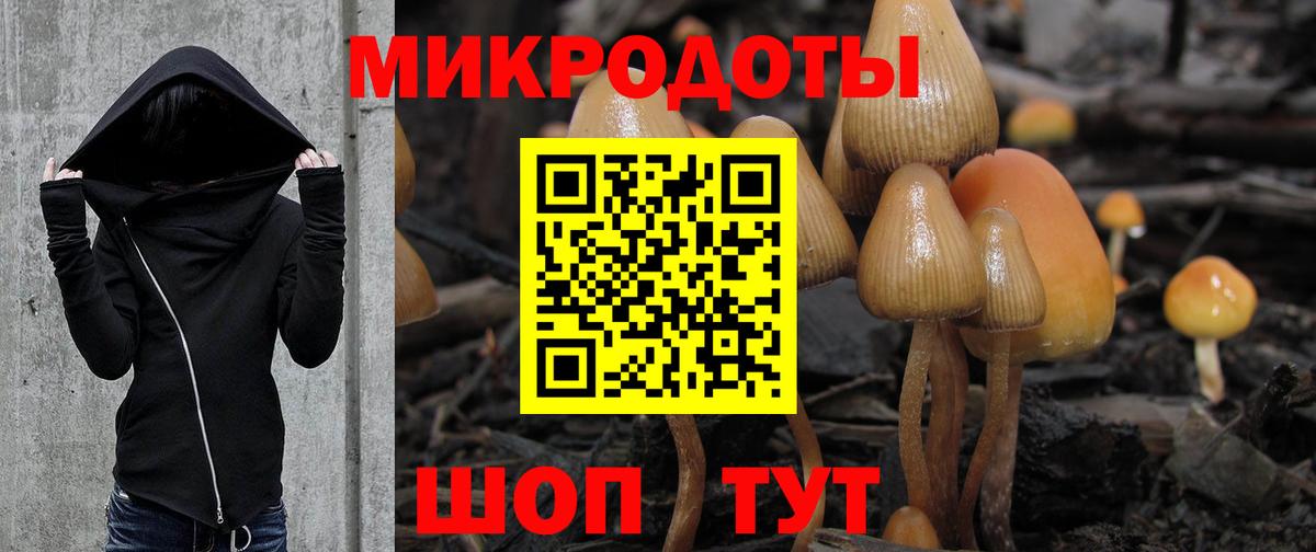 Галлюциногенные грибы Psilocybine cubensis  Вход с VPN  закладки  Череповец 